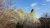 Guri i Cjapit - Naturerbe