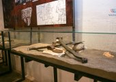 Archäologische Museum auf der Burg Rozafa