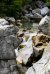 Das kristallklare Wasser des Flusses Valbona